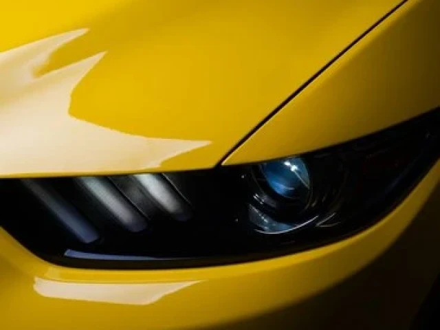 GardX Paint Protection